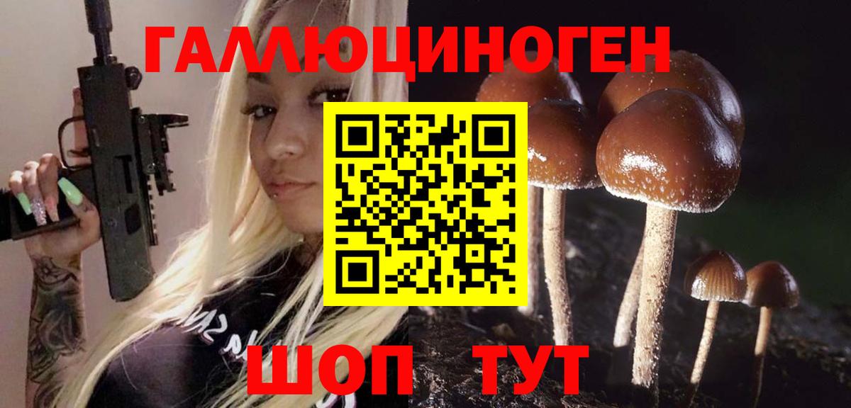 Псилоцибиновые грибы мицелий Химки